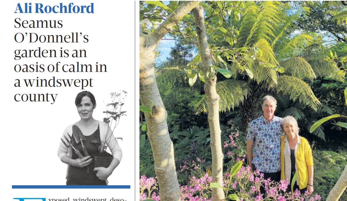 The Sunday Business Post- Sep 2020