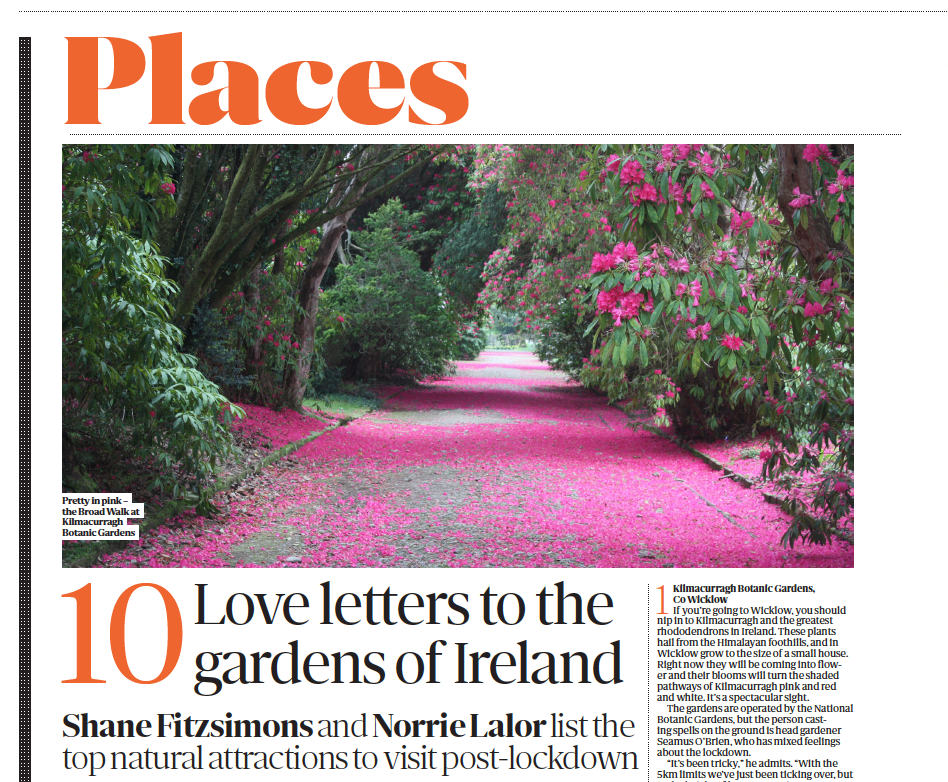 Sunday Independent, Easter Sunday 2021